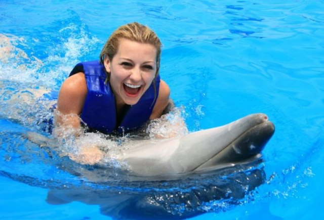 Nadando con los delfines